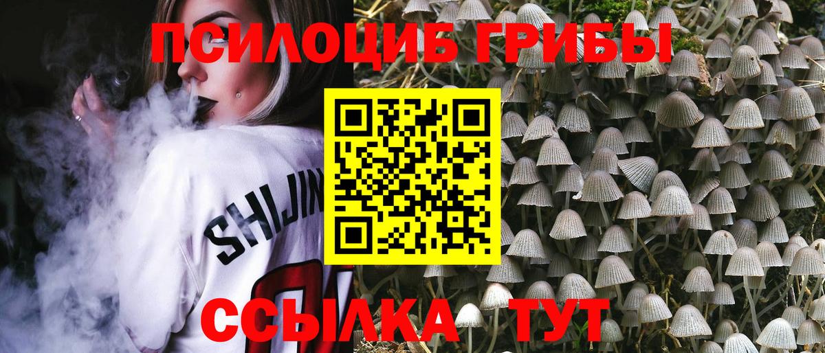 Павловский Посад  Псилоцибиновые грибы ЛСД  Вход с VPN 